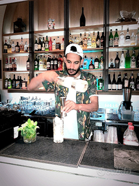 Barman Cameriere
