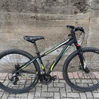 Mountain bike hornet 29”