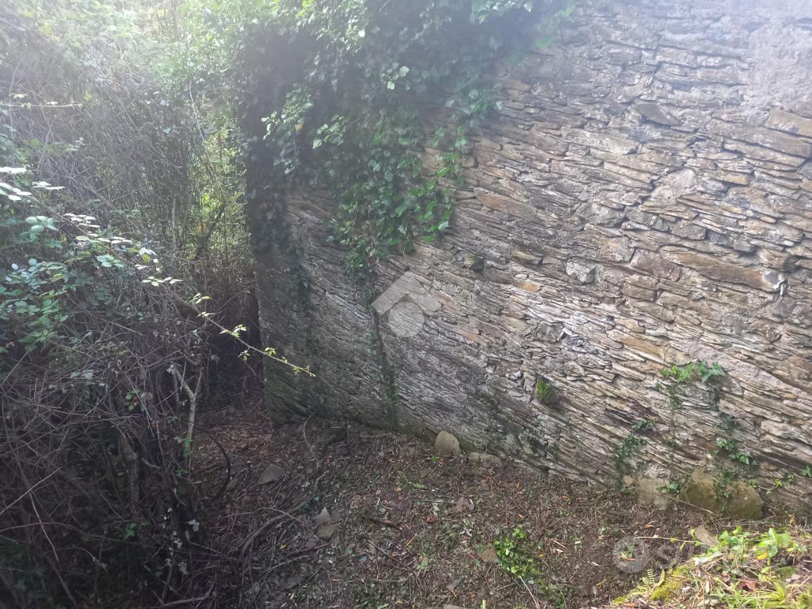 RUSTICO A CARASCO - Vista 4