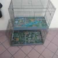 due gabbie zingate una da 45 e una da 55