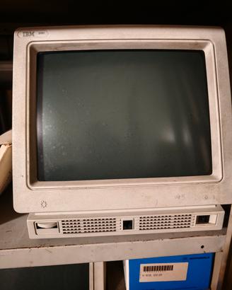 IBM 3151