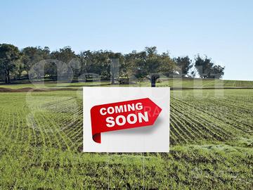 Terreno Agricolo Silea [Cod. rif 3278890VCG]