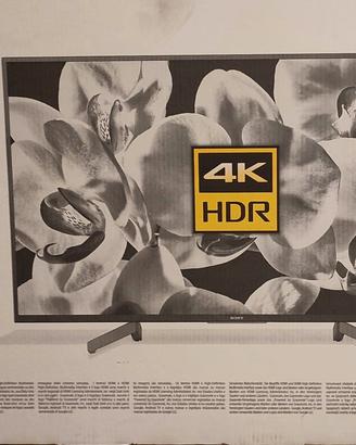 Sony Bravia 43
