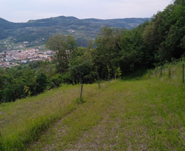 Terreno agricolo