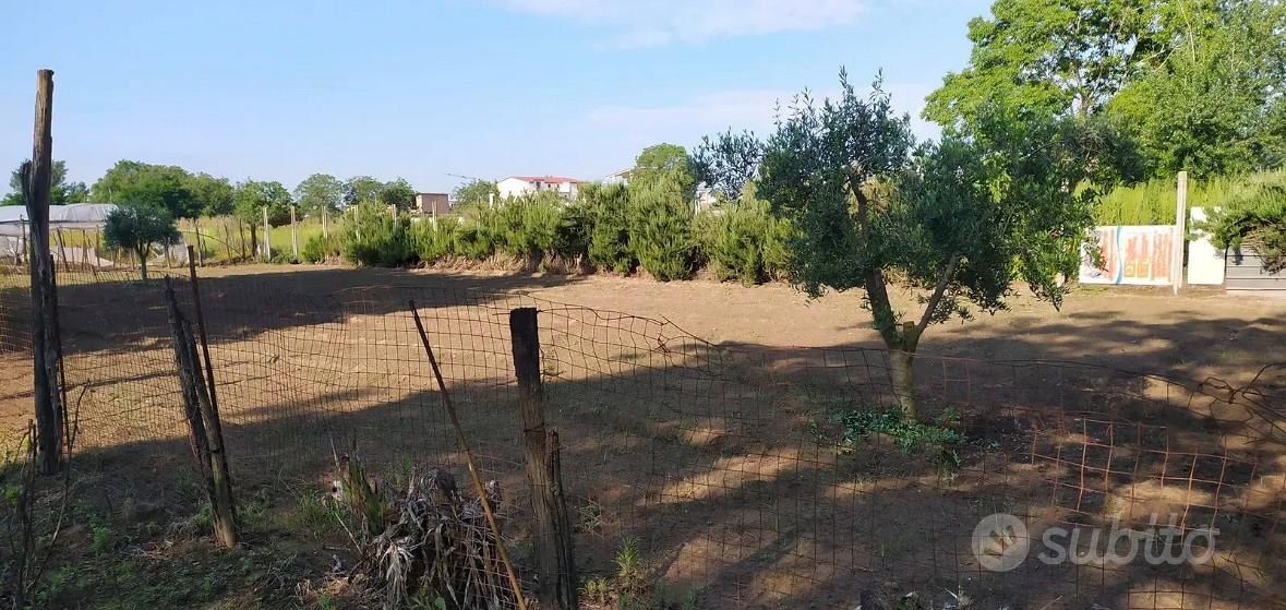 Appezzamento di terreno - Vista 2