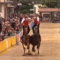 A.A linea corsa 10 anni