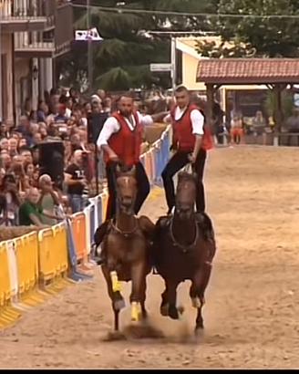 A.A linea corsa 10 anni