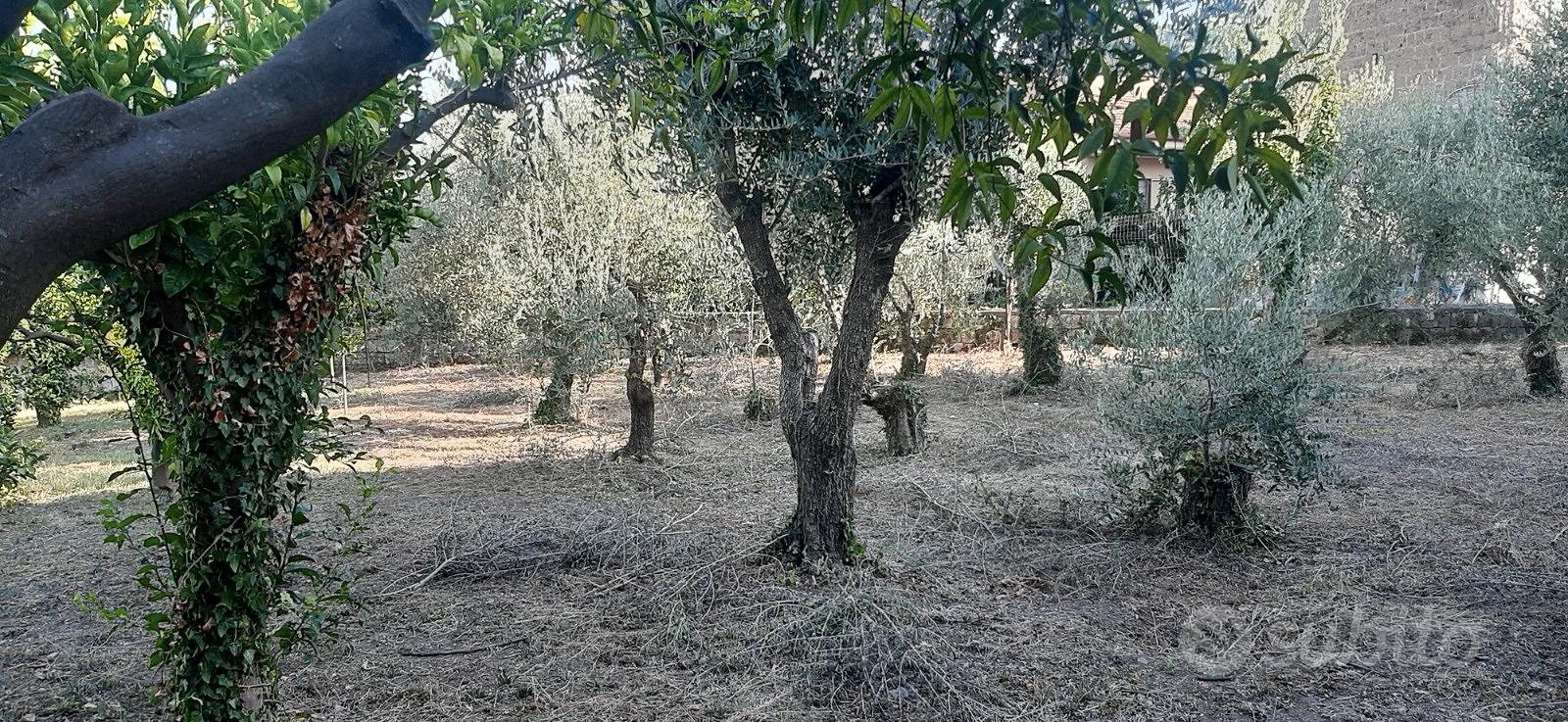 Vendita terreno - Vista 5