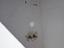 Immagine 27