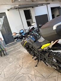 Benelli