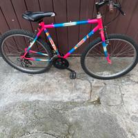 Bicicletta ragazzino