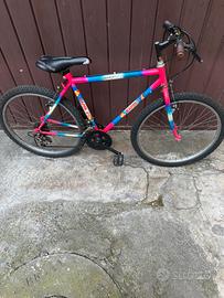 Bicicletta ragazzino