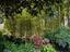 Immagine 30