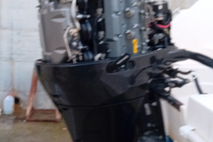 Suzuki DF 200 -280 ore di moto