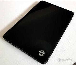 2 notebook: HP ed ASUS
