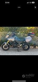 Triumph Tiger 1050 Limited Edition