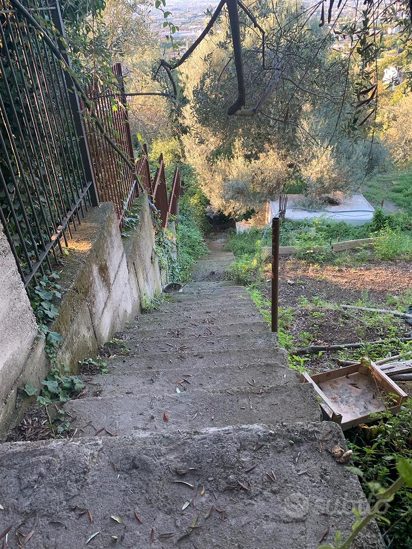 Terreno agricolo - Vista 2