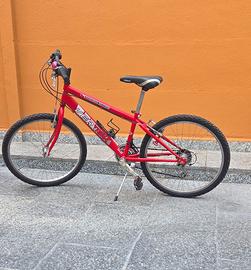 bicicletta