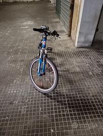 Bici lazzaretti mtb 24