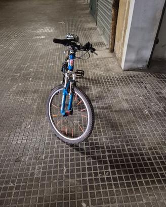 Bici lazzaretti mtb 24