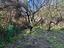 Immagine 15
