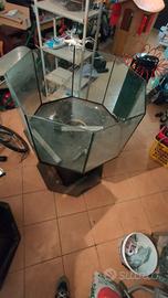 acquario come da foto +vari + accessori