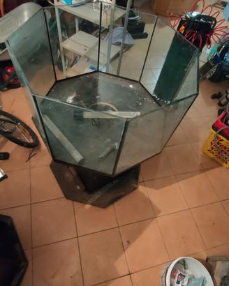 acquario come da foto +vari + accessori
