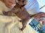Immagine 4