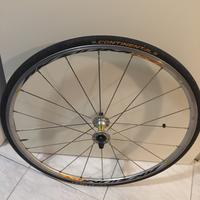 Ruota bici Mavic AKsium race