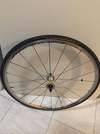 Ruota bici Mavic AKsium race