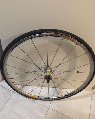 Ruota bici Mavic AKsium race