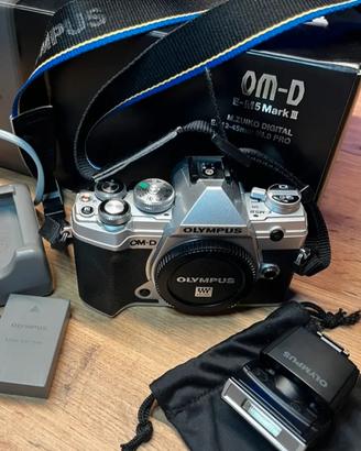 Olympus OM-D E-M5 Mark III +flash  FL-LM3