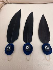 Penne per cappello alpino