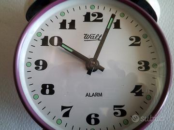 Sveglia Walt