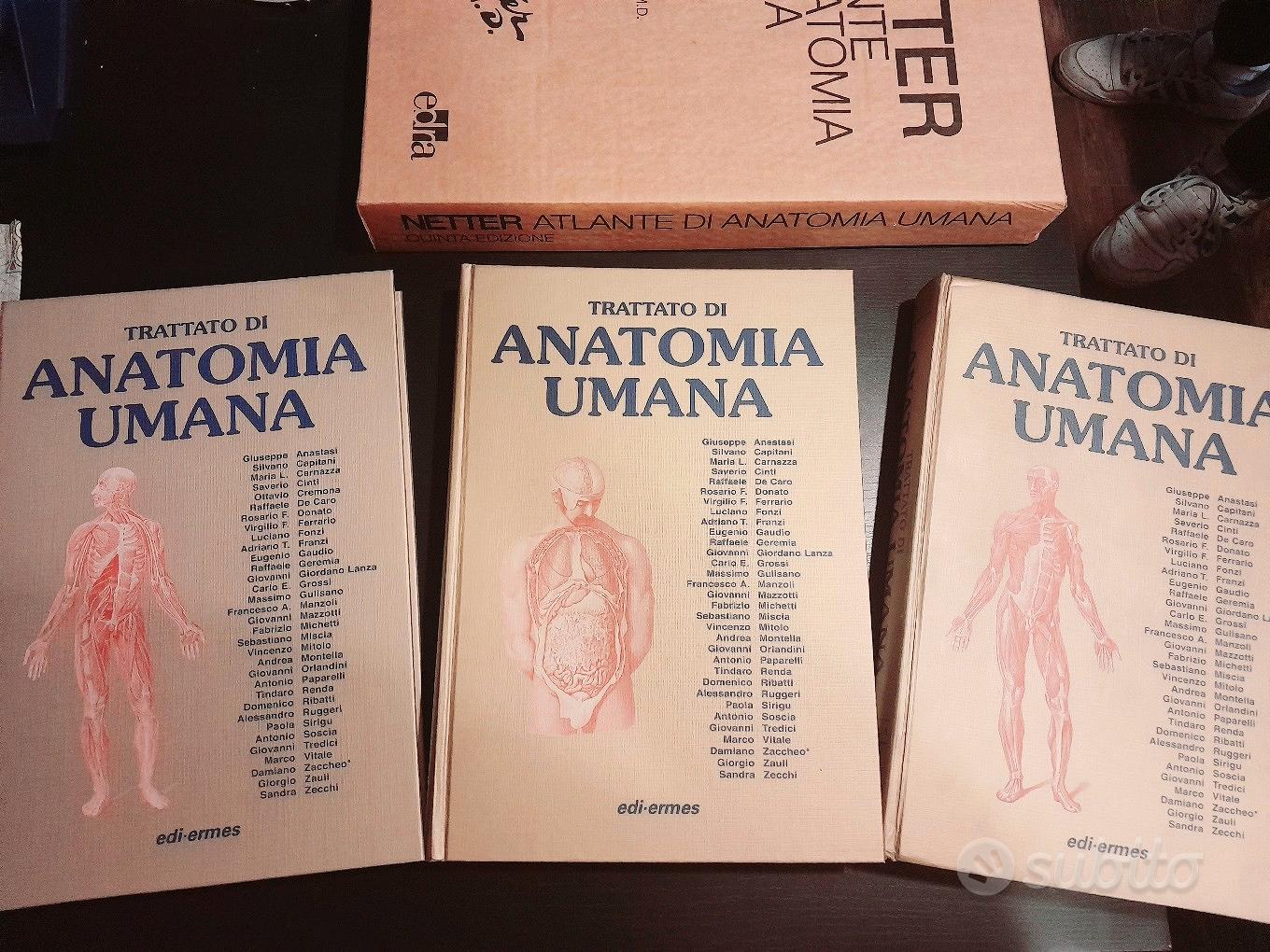 Trattato di Anatomia Umana Anastasi e Atlante - Libri e Riviste In