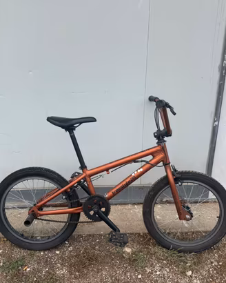 Bmx telaio sportivo - Dynamics freestyle 20