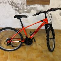 Mountain Bike Montano Escape 24 “
