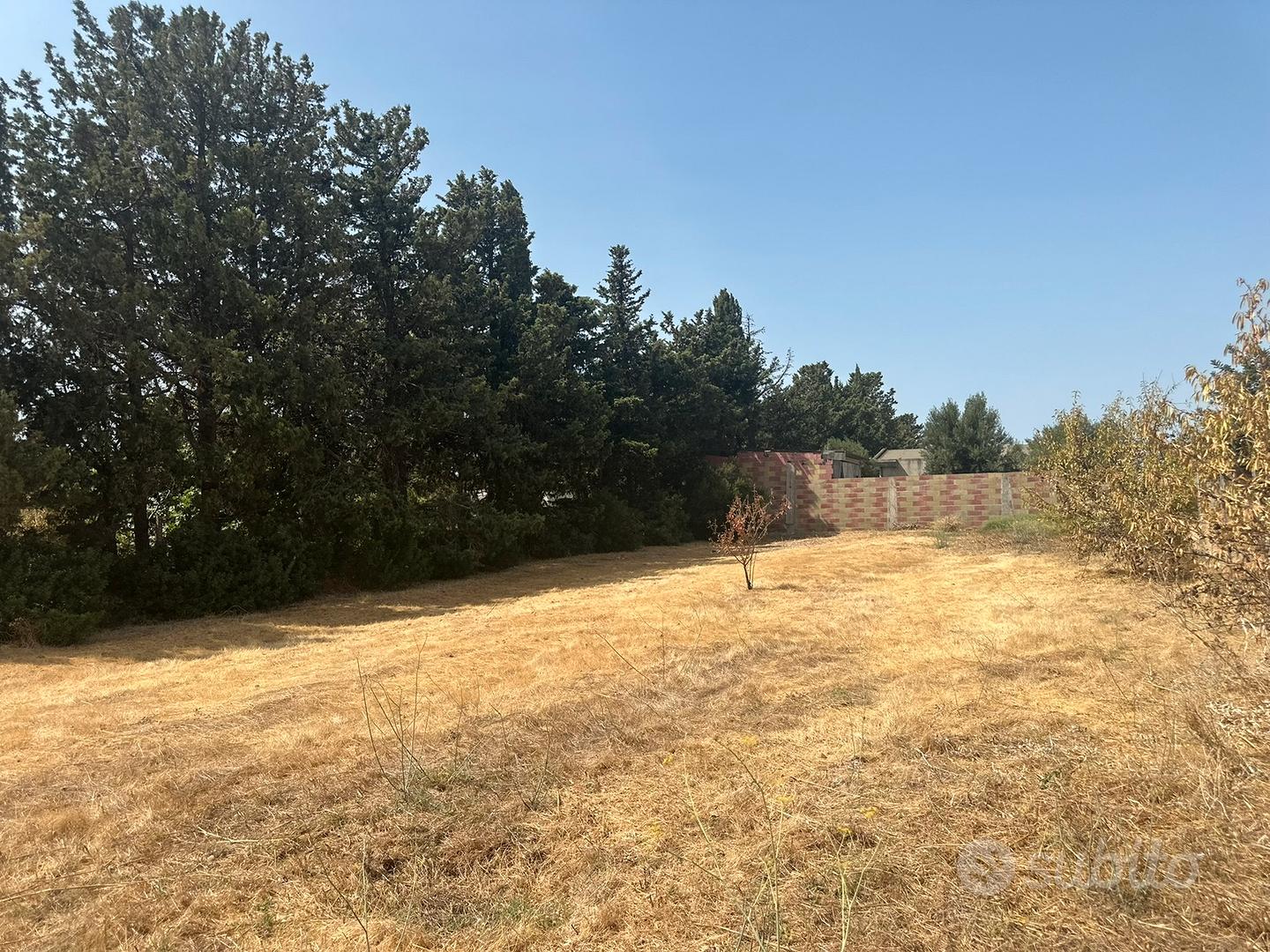 Terreno agricolo - Vista 4