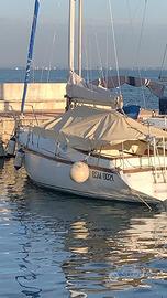 Barca a vela 10 mt