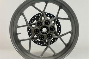 Cerchio Post.Con Disco per Ducati Multistrada 950