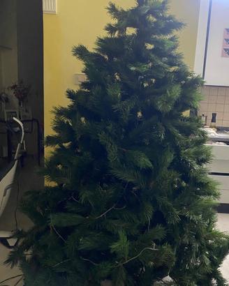 Albero di Natale