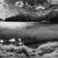 Fotografia Infrarosso Engadina Lago di Sils 21X30