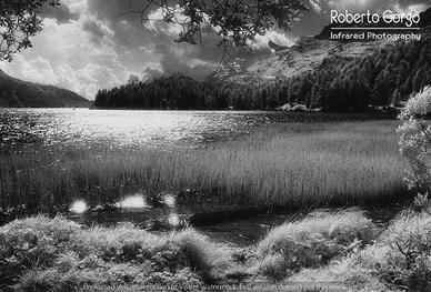 Fotografia Infrarosso Engadina Lago di Sils 21X30