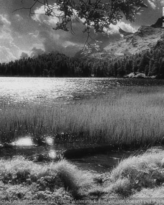 Fotografia Infrarosso Engadina Lago di Sils 21X30