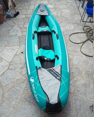 kayak