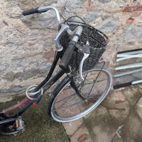 biciclette bianchi e linea oro 