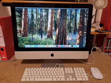 iMac 11,2 21.5" 2010 espanso