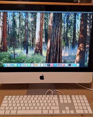 iMac 11,2 21.5" 2010 espanso