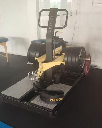 TECHNOGYM BELT SQUAT PURE STRENGTH