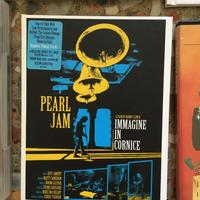 DVD - Pearl Jam - Immagine in Cornice